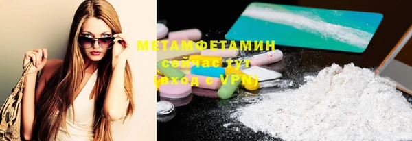 шишки Инта