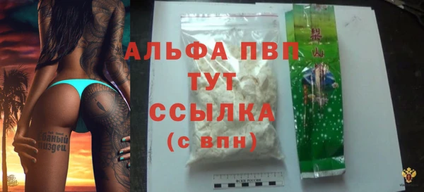 стаф Иннополис