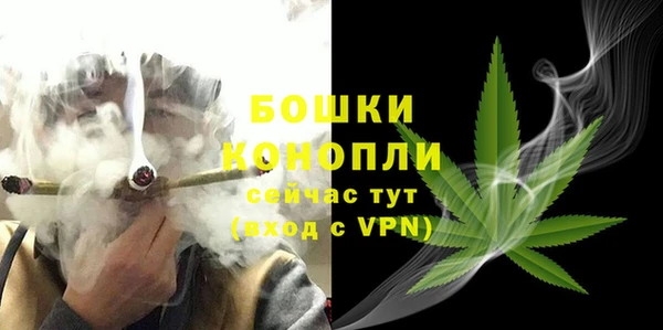 шишки Инта