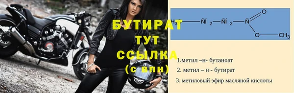 шишки Инта