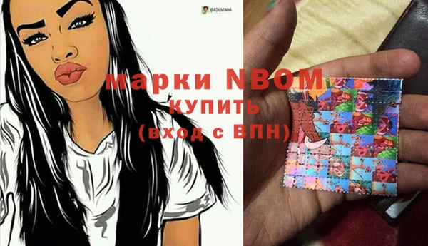 шишки Инта
