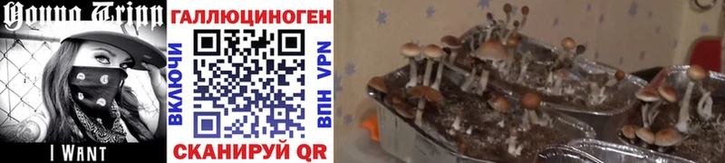 Псилоцибиновые грибы MAGIC MUSHROOMS Спасск-Дальний