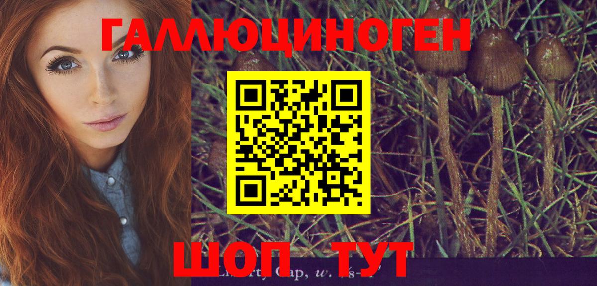 Галлюциногенные грибы Psilocybine cubensis Спасск-Дальний