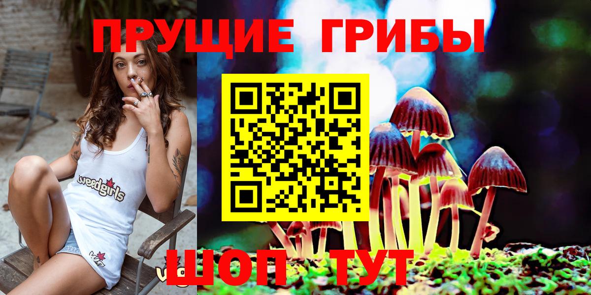 Псилоцибиновые грибы Psilocybe  Вход с VPN  Спасск-Дальний 
